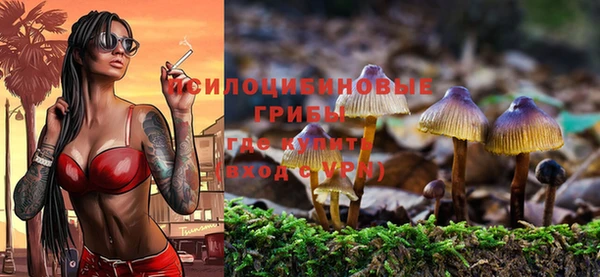 метадон Аркадак